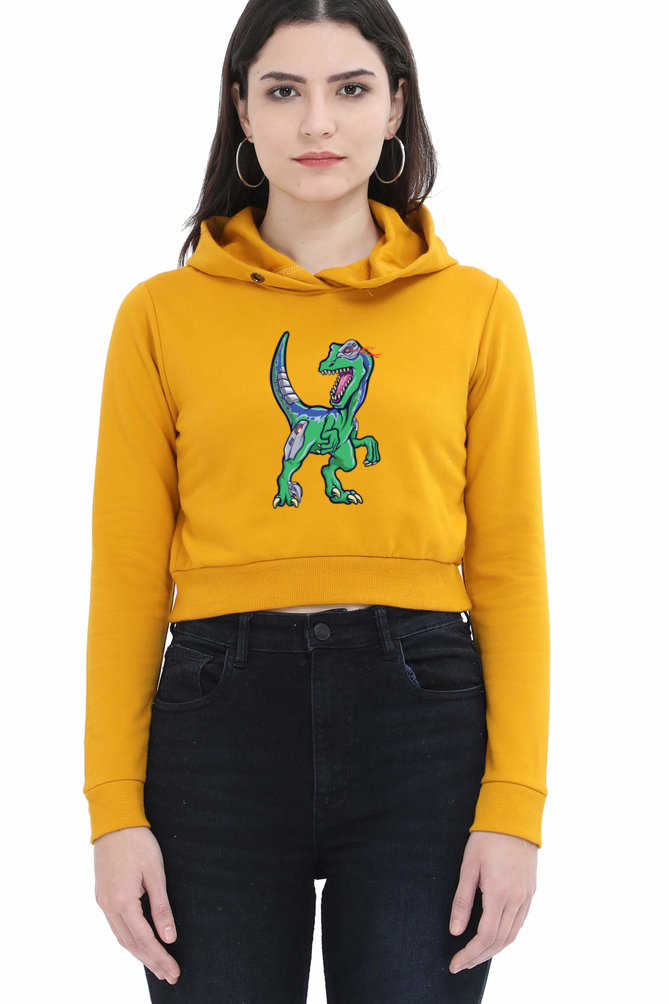 Women's Graphic Print Crop Hoodies